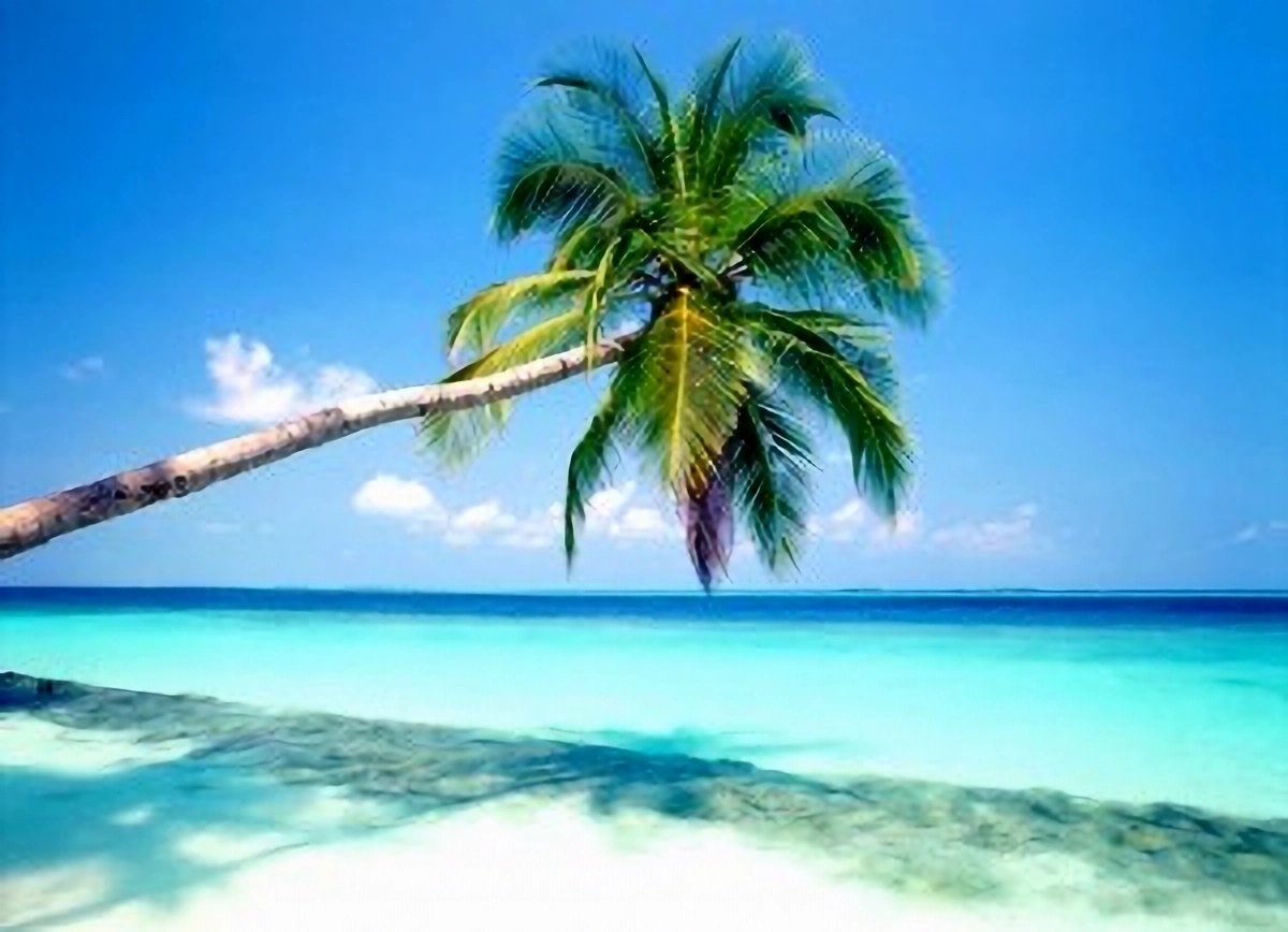 Barbados Vacation Rentals – Beachfront Accommodation