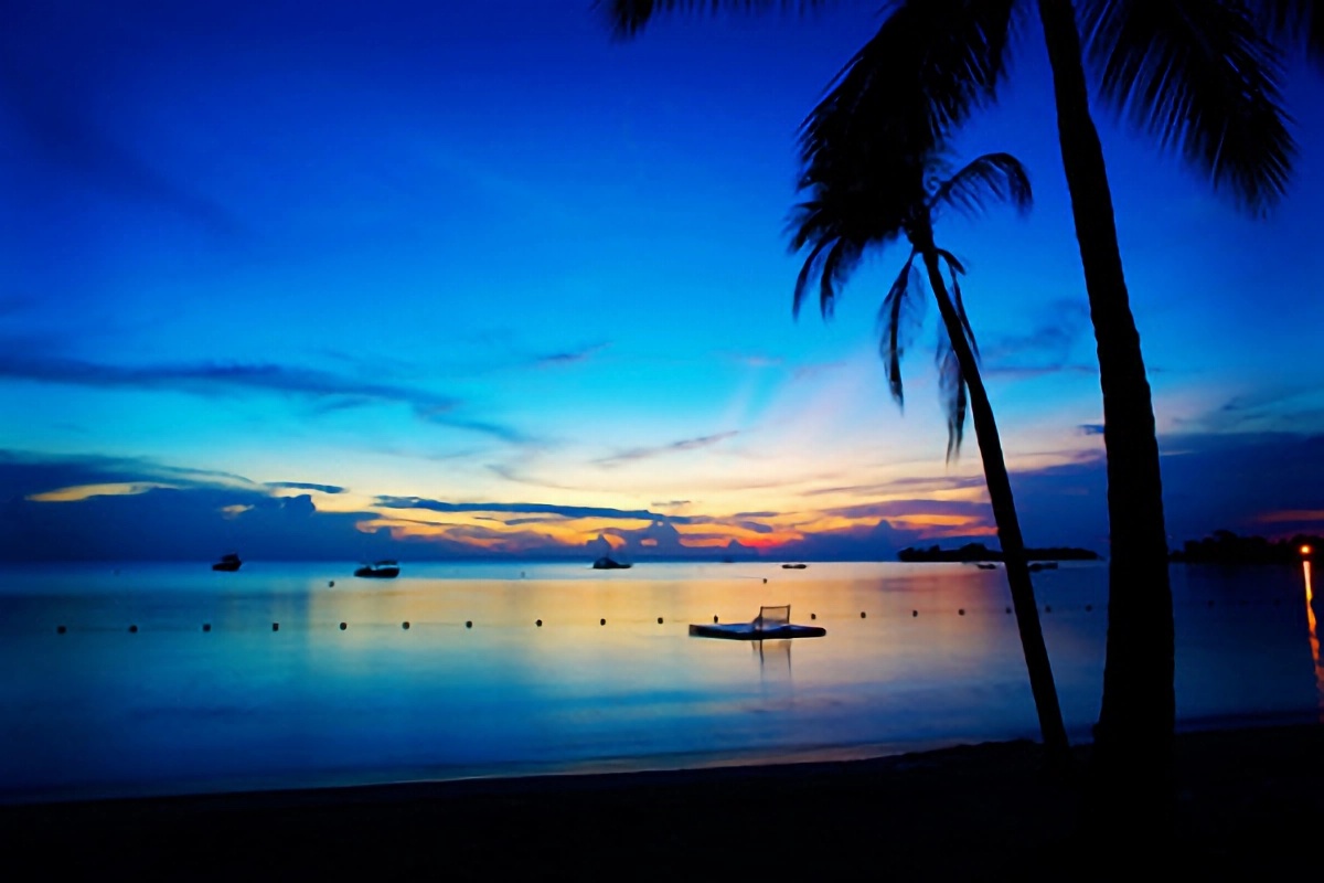 Luxury Barbados Vacation Condos for Rent